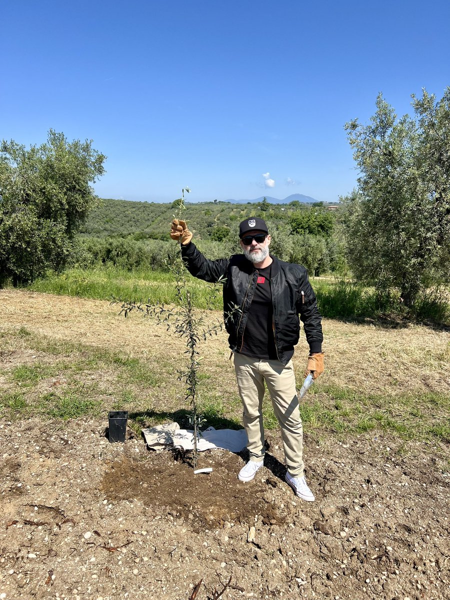 I am in my natural habit! Planting olive booshes outside Rome! #Anno117PaxRomana