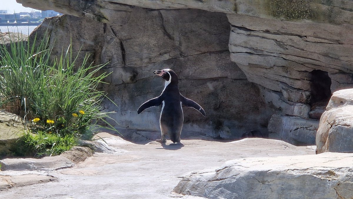 Wenn du mal wieder glaubst, du seist der Wichtigste der Welt. (aber in cute)