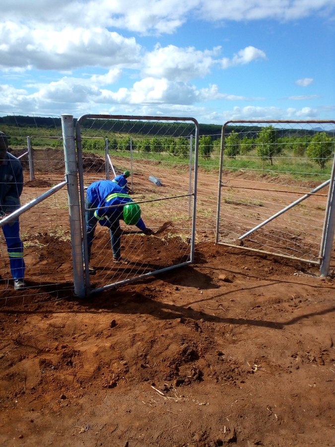 Vakomana vari pabasa 
We fix and supply
Bonox Fence 
Diamond Mesh Fence
Barbed Wire 
Get in touch and get your qoute