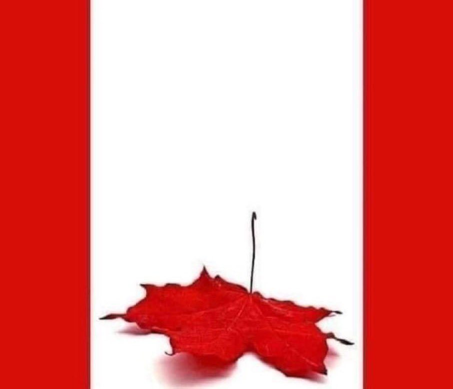 GO_Gillis's tweet photo. @lordbuckly @BreitbartNews Current feeling today … https://t.co/YeKc0jXuMa