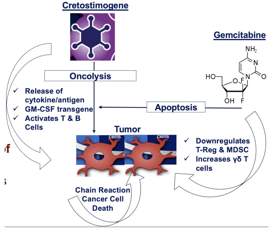 UroToday.com (@urotoday) on Twitter photo Updates to the CORE-008 trial protocol – a phase 2 multi-arm, multi-cohort study to evaluate intravesical cretostimogene grenadenorepvec in patients with high-risk #NMIBC. Presentation by <a href="/tbivala1/">Trinity J. Bivalacqua</a> <a href="/PennUrology/">Penn Urology</a>. #AUA25 written coverage by <a href="/RKSayyid/">Rashid K. Sayyid</a> <a href="/USC/">USC</a> > bit.ly/42AWnr0 Updates to the CORE-008 trial protocol – a phase 2 multi-arm, multi-cohort study to evaluate intravesical cretostimogene grenadenorepvec in patients with high-risk #NMIBC. Presentation by <a href="/tbivala1/">Trinity J. Bivalacqua</a> <a href="/PennUrology/">Penn Urology</a>. #AUA25 written coverage by <a href="/RKSayyid/">Rashid K. Sayyid</a> <a href="/USC/">USC</a> > bit.ly/42AWnr0