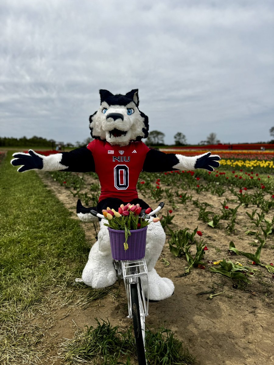 𝕋𝕚𝕡 𝕋𝕠𝕖 𝕋𝕙𝕣𝕦’ 𝕥𝕙𝕖 𝒯𝓊𝓁𝒾𝓅𝓈 𝕨𝕚𝕥𝕙 𝕄𝕖 🦴🐾💐