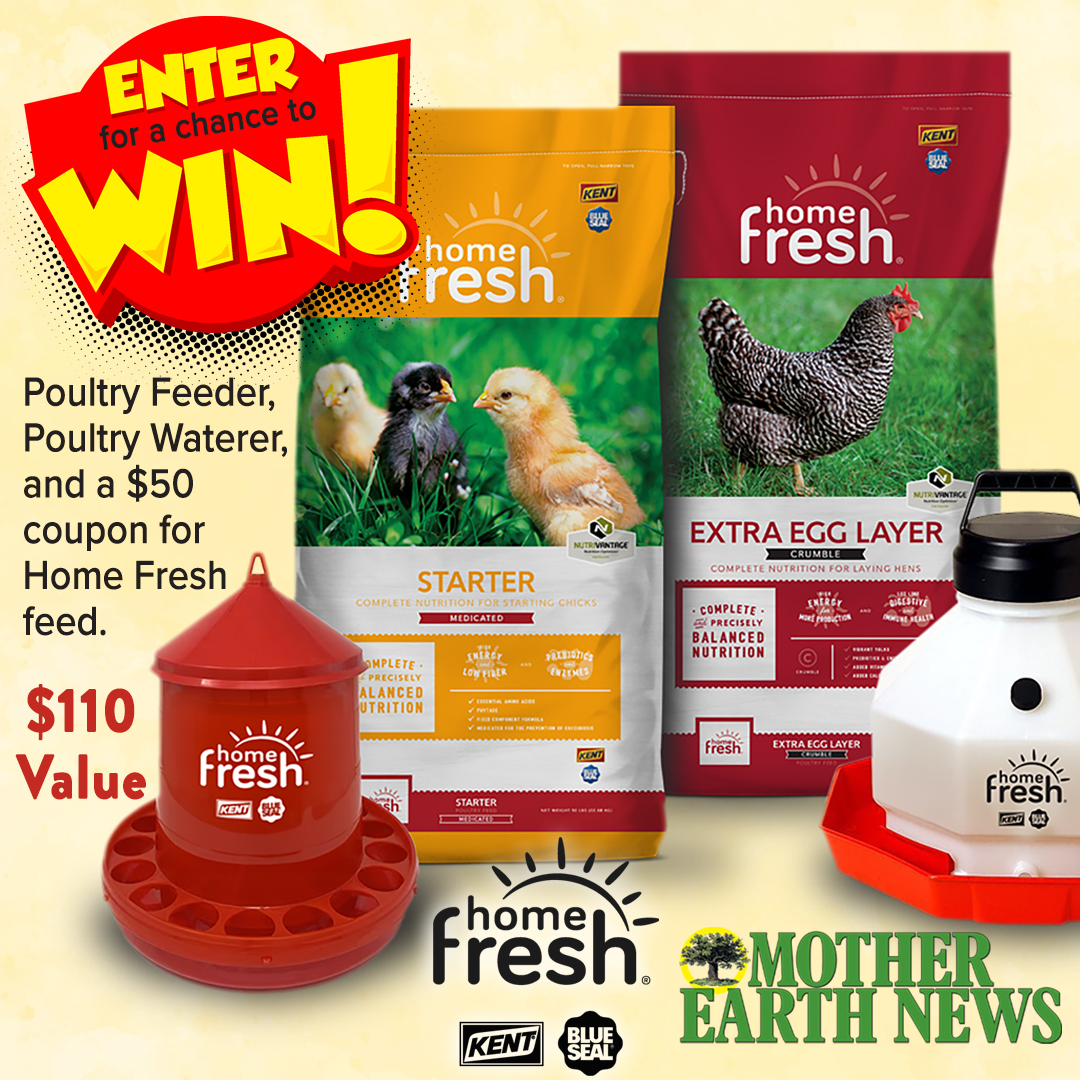Upgrade your poultry care routine with an exclusive giveaway from Home Fresh and Mother Earth News! One winner will receive a high-quality feeder, waterer, and a $50 Home Fresh feed coupon, totaling $110 in value.​ 

🔗 Don't wait—enter now at MotherEarthNews.com/sweepstakes/ho…