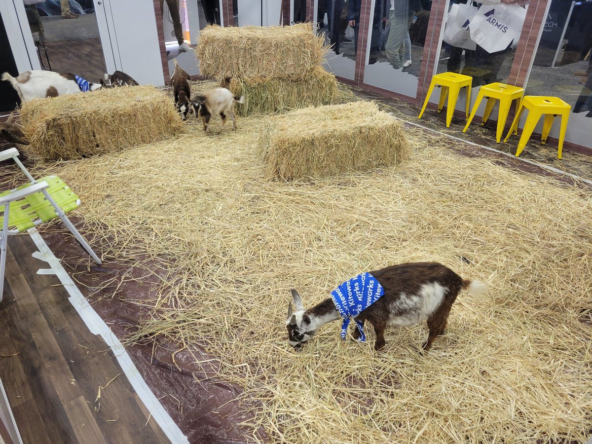 I was not expecting goats at #RSAC2025
