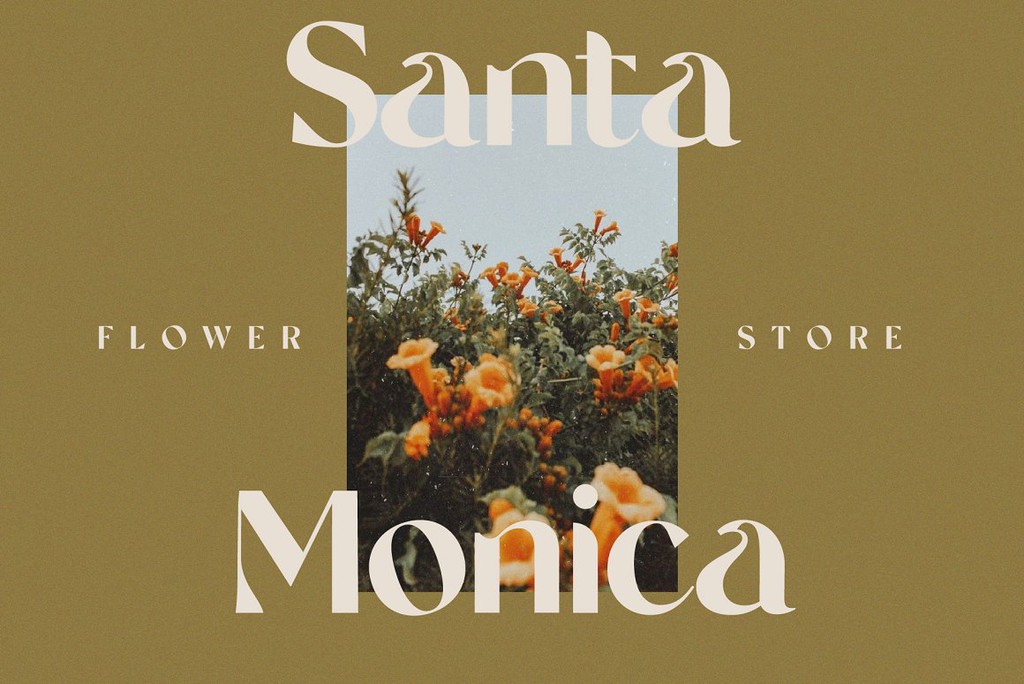 Inkbotdesign's tweet image. Use this Bastro serif font to add that special modern retro touch to any design idea you can think of!

Read the full article: The 20 Best Retro Fonts For Vintage Branding
 lttr.ai/AeKVY

#SocialMediaPosts