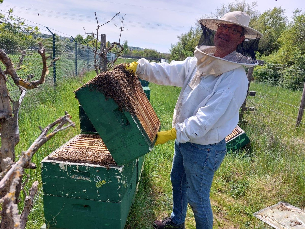 RupprechtDeino's tweet photo. By the way ... here's Deino and his bees 🐝🐝🐝🐝 https://t.co/yTPDWpHiHW
