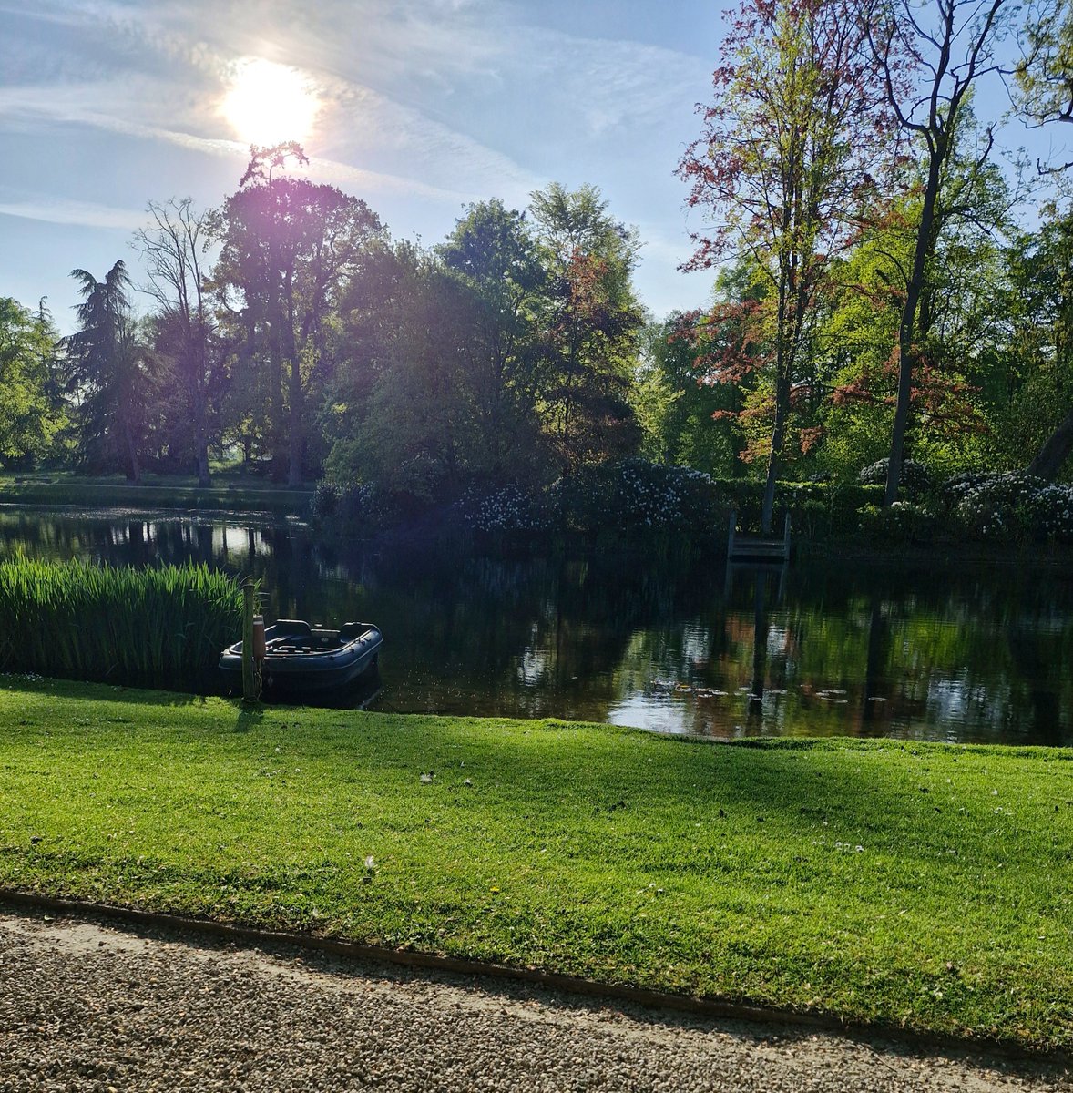Adey A (@adeysalthorp) on Twitter photo A most beautiful evening at the Oval Lake.
Mother mallard just swam by with a dozen ducklings following her chasing the midges.
Conservation@althorp.com ##Spencerestates A most beautiful evening at the Oval Lake.
Mother mallard just swam by with a dozen ducklings following her chasing the midges.
Conservation@althorp.com ##Spencerestates