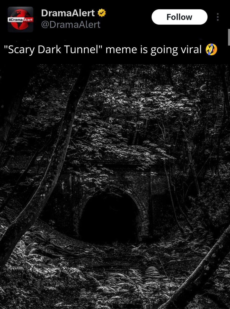 eccosystem tweet media