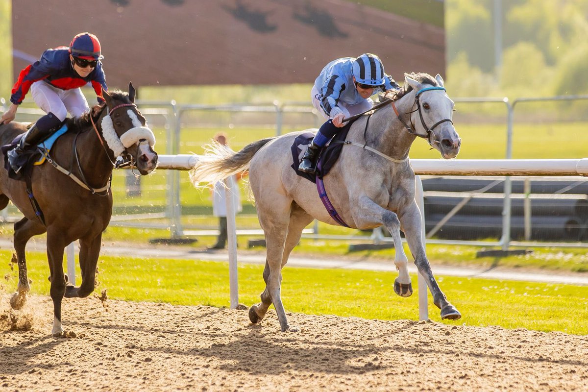 ebethellracing's tweet photo. 🥇 CROWN’S LADY 🥇

Crown’s Lady gets the better of her rivals, winning on her second start of the season from the yard under Callum Rodriguez at Wolverhampton.

Many congratulations to her owners and to Caileigh Morris who rides her daily. 

#BethellRacing #Winner https://t.co/JavdSOLT7F