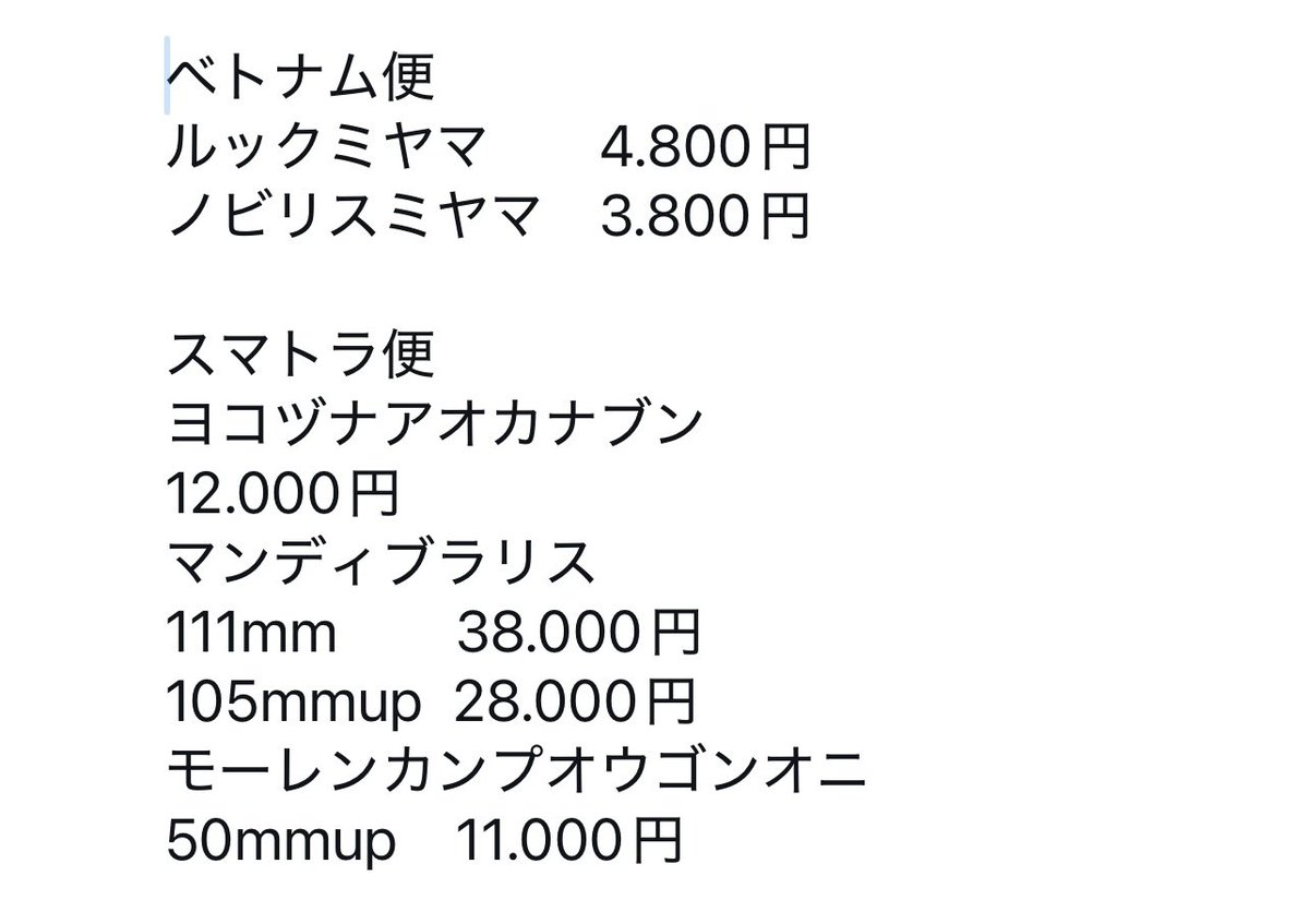 コンゴDR南部産 ポギーオオツノカナブン 褐色 81mm コンゴDR南部産