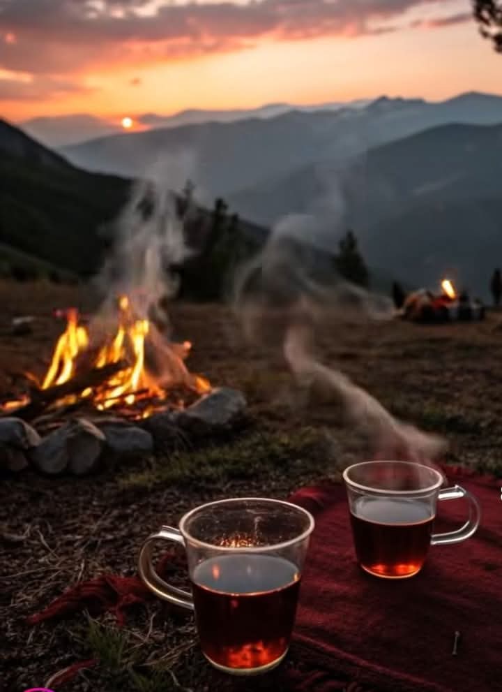 İnsanlar sıkıştıklarında taktik değişip bi anda sanki o kişi değilmiş gibi aksi bi karaktere bürünebilirler...✍️🐞