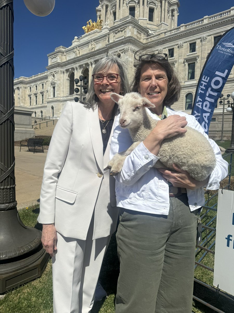 threeriverspark's tweet image. Representatives @GinnyKlevorn and @PattyAcomb agree baby lambs are funner than session.