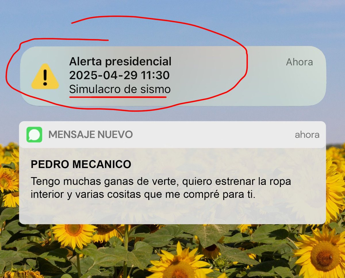 @LuisValLe tweet media