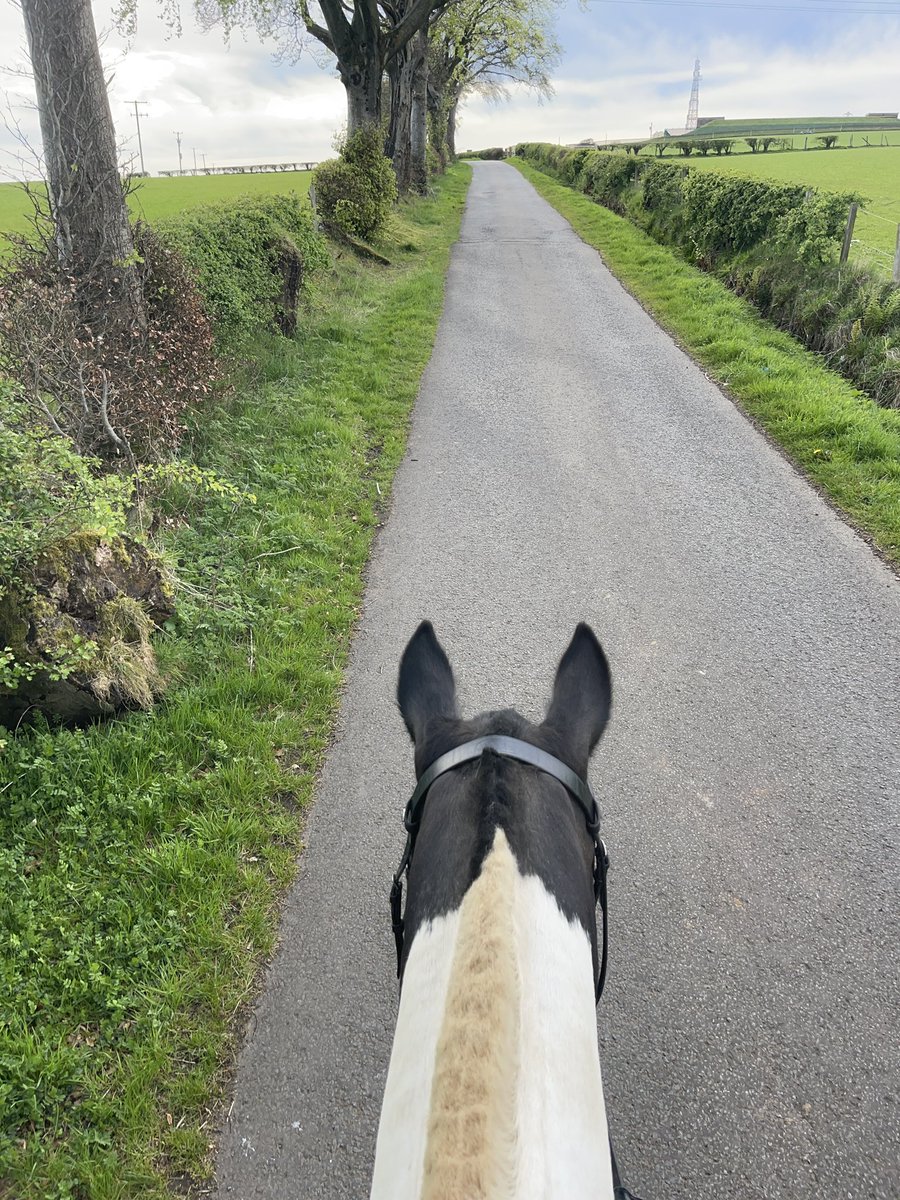 JudithT0911's tweet image. Nice wee Tuesday night walk with Topaz 🤩