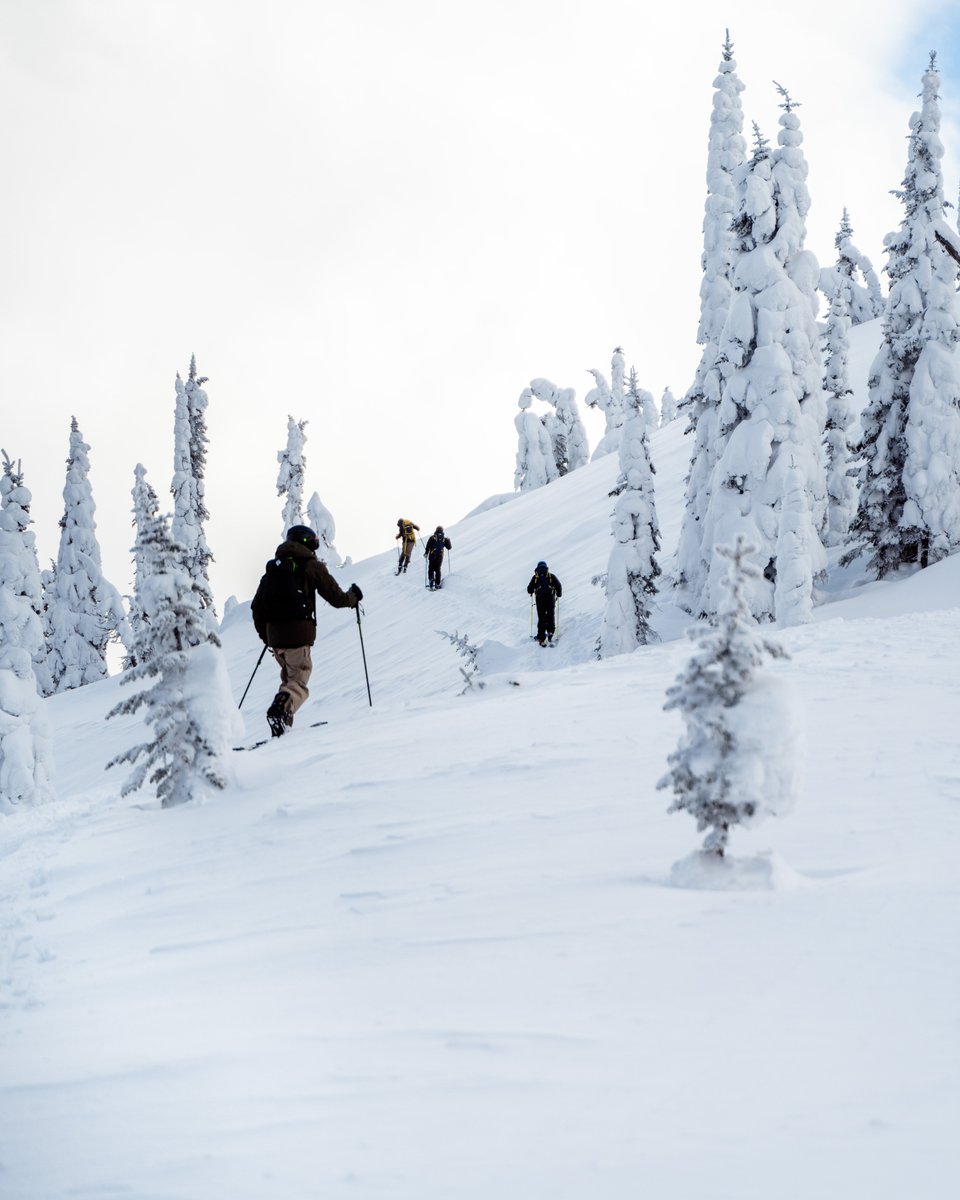 nonstopsnow's tweet photo. This isn’t your average instructor course.⁠
⁠
Swipe through a day ski touring and splitboarding through Fernie’s wild terrain — just one of the epic side missions you can experience on our 11-week instructor course in Fernie.⁠ https://t.co/gZkUjrrRVs