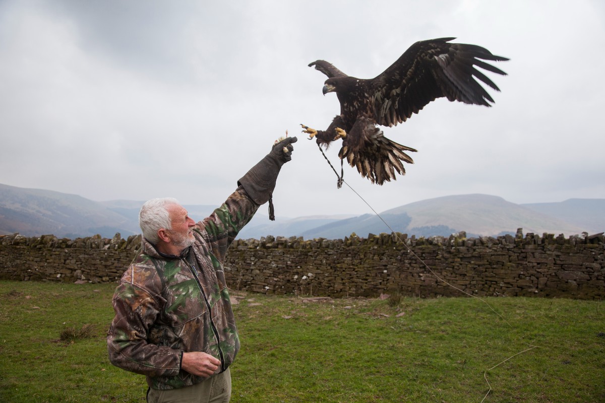 🦅 Experience the amazing falconry event Wings of Wales on Sunday 4 May, between 10am and 3pm!
ow.ly/ZZIw50VJShl
🦅 Profwch y digwyddiad heboga anhygoel hwn gyda Wings of Wales ddydd Sul 4 Mai, rhwng 10am a 3pm!
ow.ly/Lm7p50VJShm