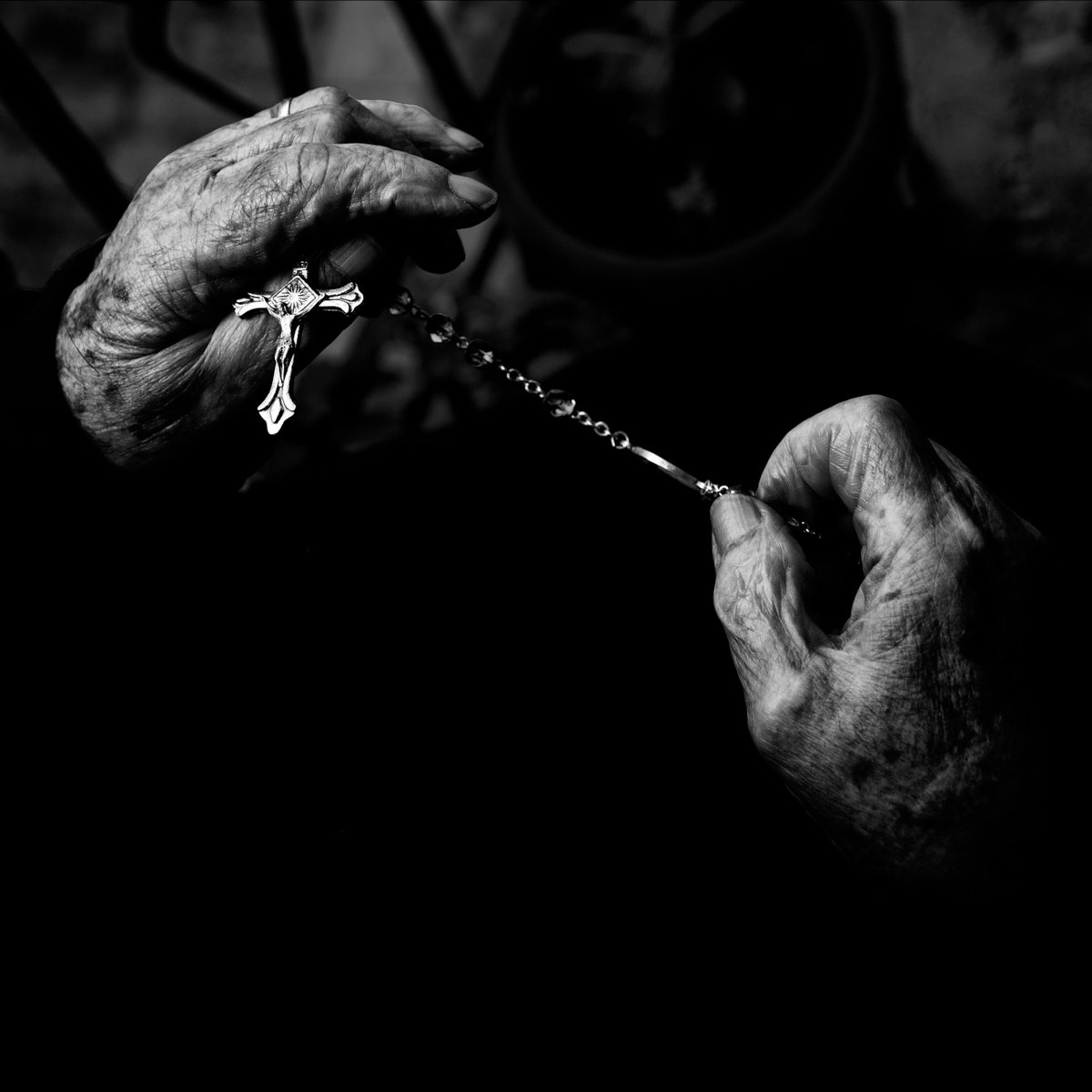 Agonia Records tweet media