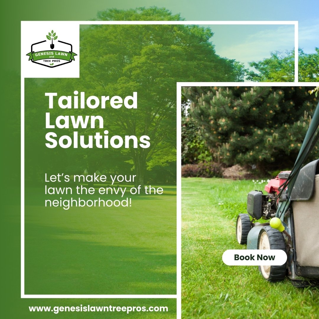 GenesisLawnTree's tweet photo. Transform your outdoor space with professional.
Contact us today!
https://t.co/y0BL3jzZVh

#LawnCare #SpringCleaning #BeautifulYard #lawncare #lawnmower #lawncarelife #LawnCareService #lawnmaintenance #lawn #treepros #treeproscompany #landscape #landscapedesign #landscapedesign https://t.co/1Cb7weNMa0