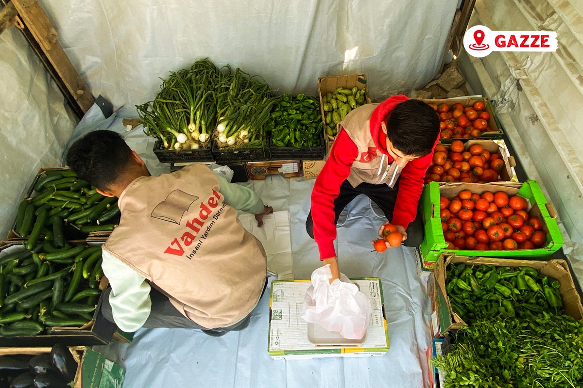 vahdetdernegi's tweet image. 📷🇵🇸 Sebze Dağıtımı - Gazze 2025

#gazze
#sebze
#dağıtım