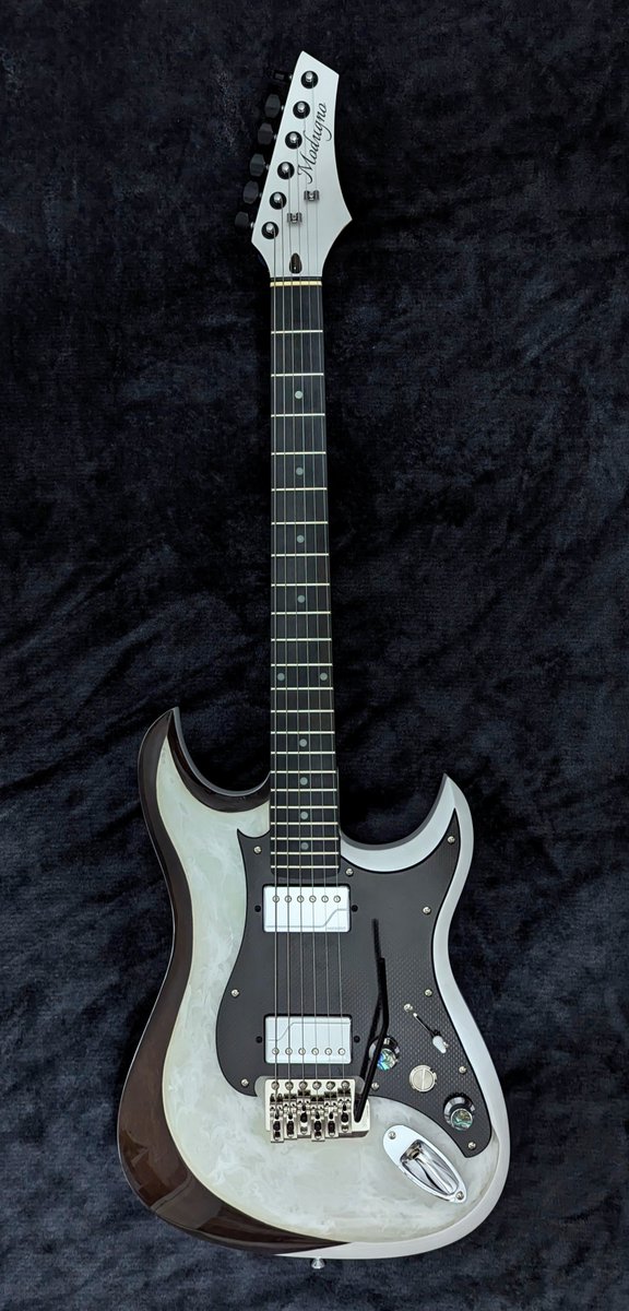 modugno_guitars's tweet photo. LE9 "Lumen" Limited Edition

#modugnoguitars #glowinthedark #grege1972 #LE9Lumen #ledguitar #austintexas #texas #electricguitar #leds #ledlights #guitarshop #electricguitarshop #fishmanfluence #gotoh #carbonfiber #lockingtuners #epoxyguitar #guitar #epoxyresin #epoxy https://t.co/ltELoi5xuE