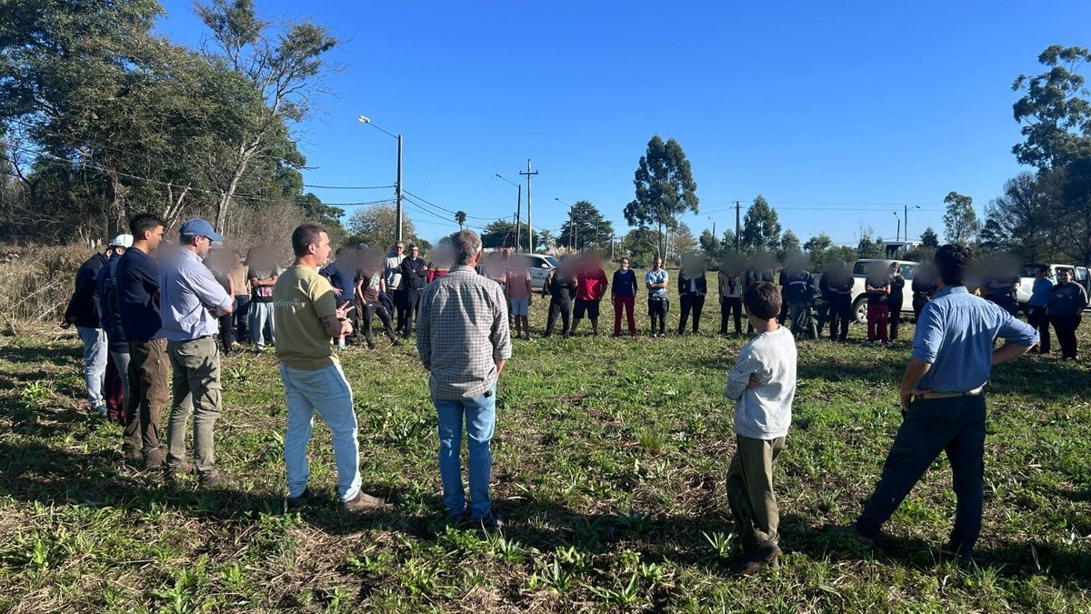 Inisa_Oficial's tweet photo. Hoy se realizó La Chocleada en Colonia Berro: 120 adolescentes participaron de la cosecha solidaria de 1,5 hectáreas de maíz junto a funcionarios y voluntarios. 
Lo recolectado será donado al Banco de Alimentos y destinado a comedores de todo el país.
@halcones2021 https://t.co/YAnjFVnOCy
