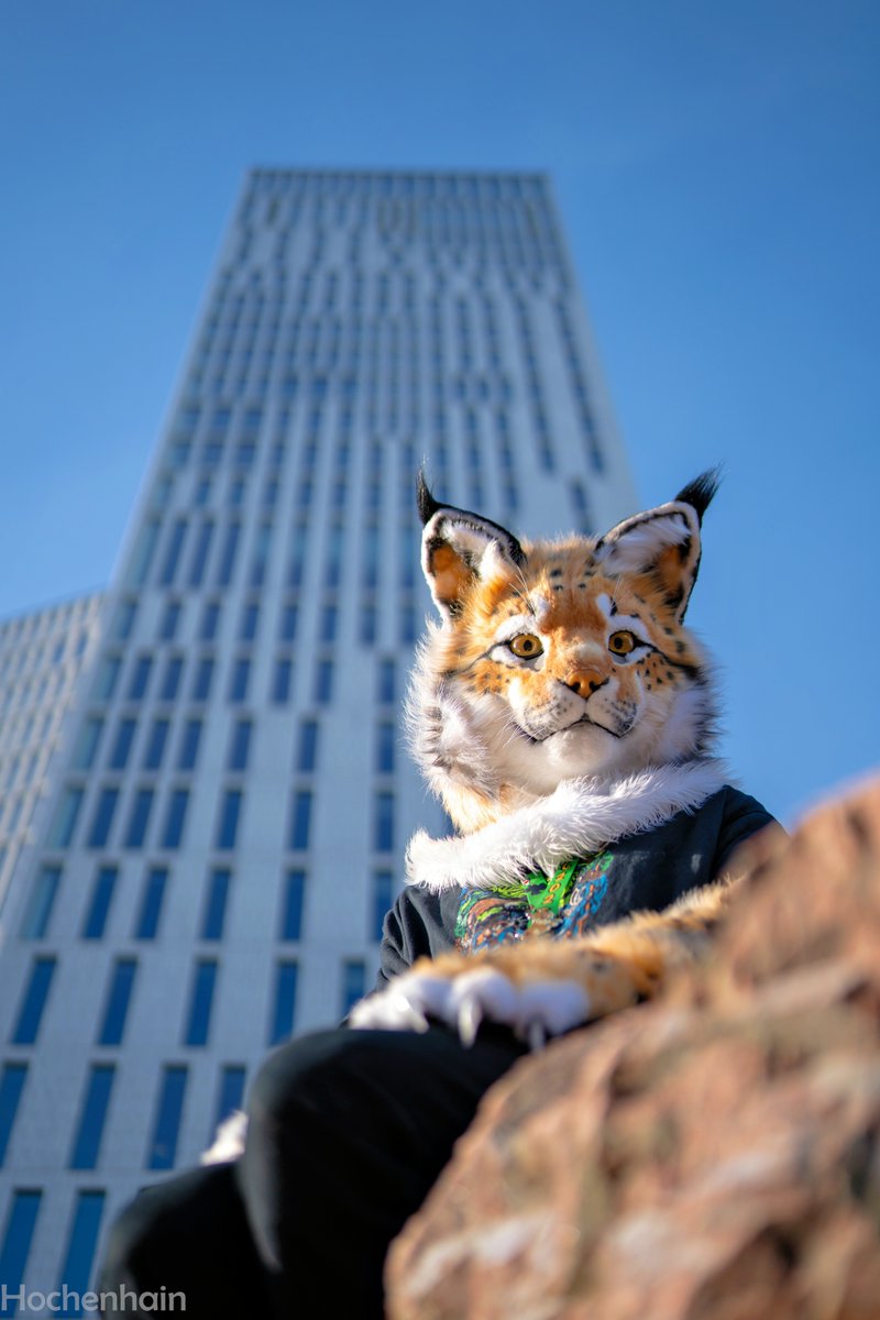 Hochenhain's tweet image. I got a nice shot of @ItsZaltany at #NFC25
#fursuit