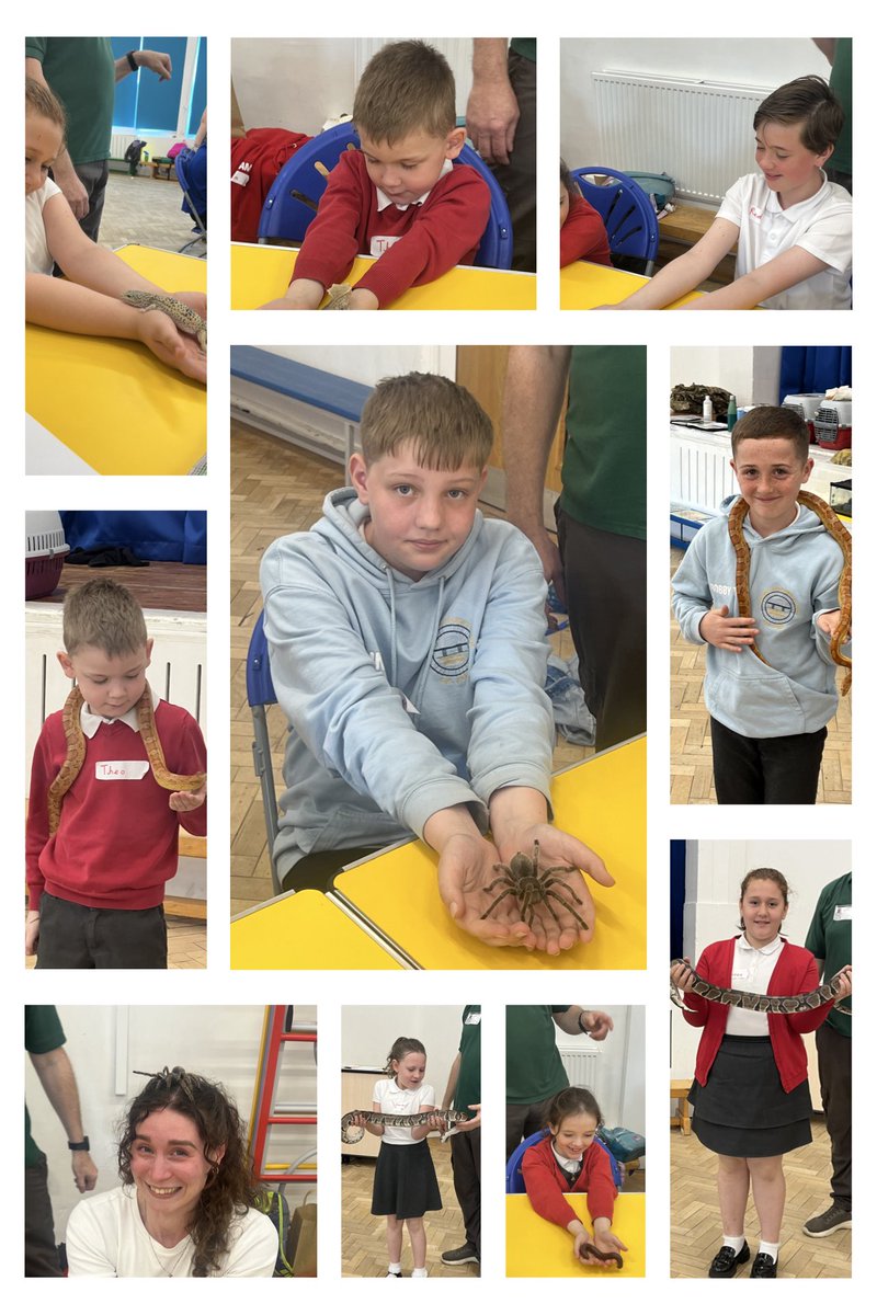 What an amazing treat we have had today with our KS2 children. We’ve explored a variety of creatures today, and even had the opportunity to hold them. These children are certainly braver than me.