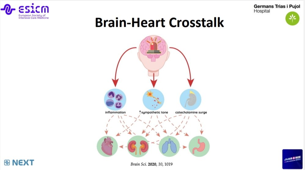 Today the ICU team at <a href="/hgermanstrias/">Hosp. Germans Trias</a> actively participated in the #NextJamboree 2025 session organized by the <a href="/ESICM/">ESICM</a>.
I had the opportunity to speak about “Stunned Myocardium in Neurocritical Care Patients”.

Great experience - thank you for the opportunity!