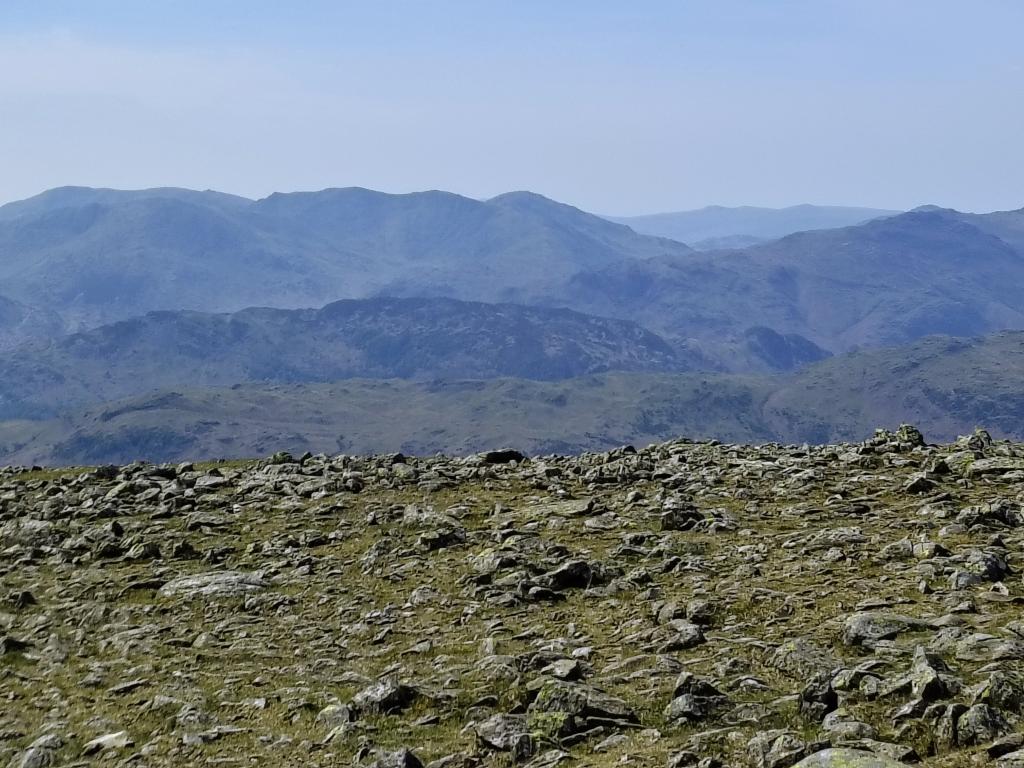 Garry Graham tweet media