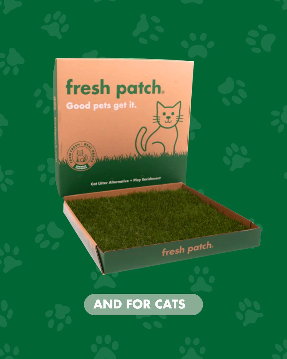 Fresh Patch Large Grass🌱 is both for dogs AND cats! ⁠
⁠
💚 24 x 24 makes it great for pets under 30 lbs.⁠
📦️ Comes in a waxed lined box⁠
⁠
#FreshPatch #PetParent #RealGrass