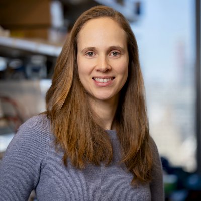 Memorial Sloan Kettering Cancer Center (@mskcancercenter) on Twitter photo <a href="/kevinmboehm/">Kevin Boehm</a> <a href="/scgerstberger/">Stefanie Gerstberger, MD PhD</a> 3/3 Dr. Stefanie Gerstberger, a third-year medical oncology fellow and postdoc researcher in the lab of <a href="/KarunaMDPhD/">Karuna Ganesh</a>, investigates #phenotypic #plasticity and chemo resistance in #colorectalcancer. She's also awarded the <a href="/AACR/">AACR</a> Women in Cancer Research Scholar Award. #AACR25 Learn <a href="/kevinmboehm/">Kevin Boehm</a> <a href="/scgerstberger/">Stefanie Gerstberger, MD PhD</a> 3/3 Dr. Stefanie Gerstberger, a third-year medical oncology fellow and postdoc researcher in the lab of <a href="/KarunaMDPhD/">Karuna Ganesh</a>, investigates #phenotypic #plasticity and chemo resistance in #colorectalcancer. She's also awarded the <a href="/AACR/">AACR</a> Women in Cancer Research Scholar Award. #AACR25 Learn
