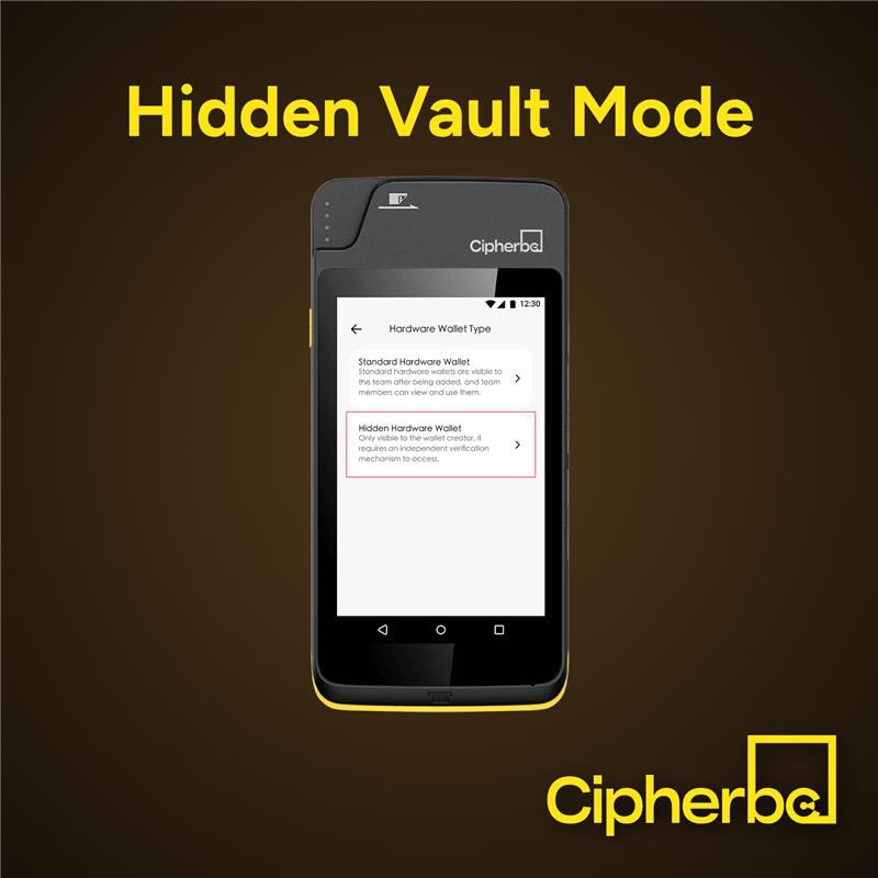 CipherBC's tweet image. 🔒 Say hello to the exclusive Hidden Wallet on #CipherSafe cold wallet.🕵️‍♀️ Your secret weapon against nosy eyes and forced access. Keep your privacy on the full control.