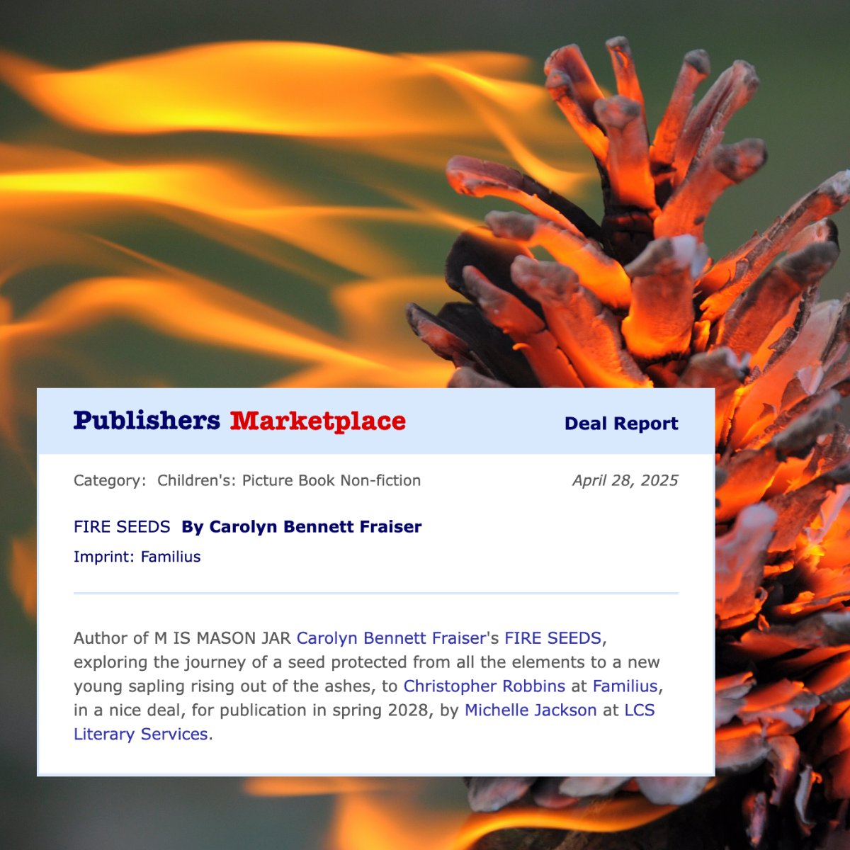 Carolyn B. Fraiser 🌙🌲 tweet media