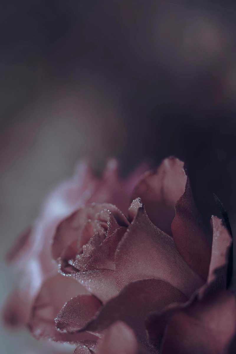 The promise of pain can never outdo the promise of grace ..