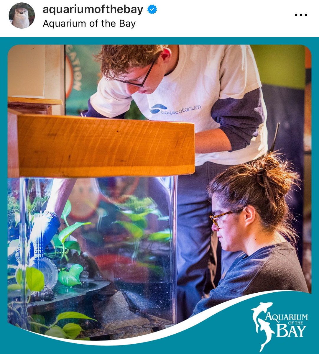 Aquarium of the Bay (@AqofthebaySF) / Posts / X