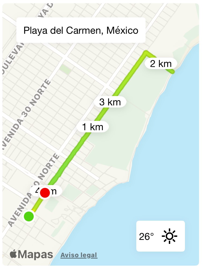 fboneta's tweet photo. Hoy repetimos dosis, paseo caluroso por la 5a. Av y la playa, corrí 4.01 km + pushups + pullups + fierros callejeros + nadada caribeña #oldschool #endorphinejunkie #horafeliz #PAQUETE https://t.co/xXpituODUz