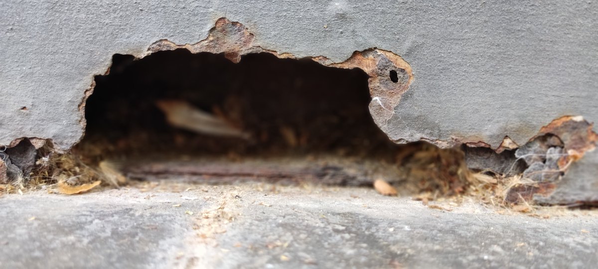 Va, mi primera foto para el concurso 🔝 #Fotocorr2025  sobre el #Corrosionawarenessday25. Darle ❤️ si os gusta,  gracias 🥰!!!

Título: Coche familiar modelo Corrosión 2.0 totalmente eléctrico y enchufable.

<a href="/FECYT_Ciencia/">FECYT</a> <a href="/materlandfct/">MATERLAND</a> <a href="/uclm_es/">Universidad de Castilla-La Mancha</a> <a href="/SOCIEMAT/">SOCIEMAT</a>.