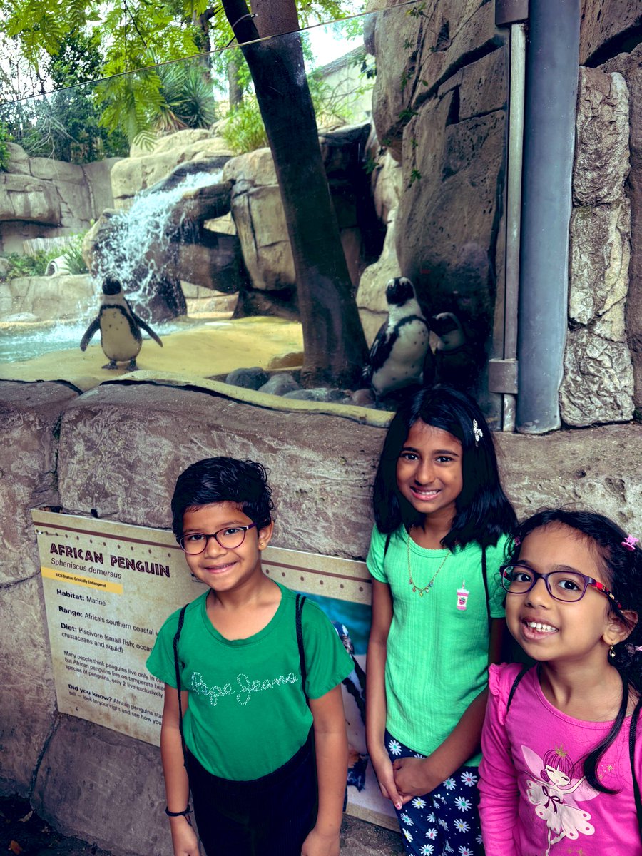 We found our house adopted animal! <a href="/DallasZoo/">Dallas Zoo</a> #rjlgreenk #rjlkinderzoo