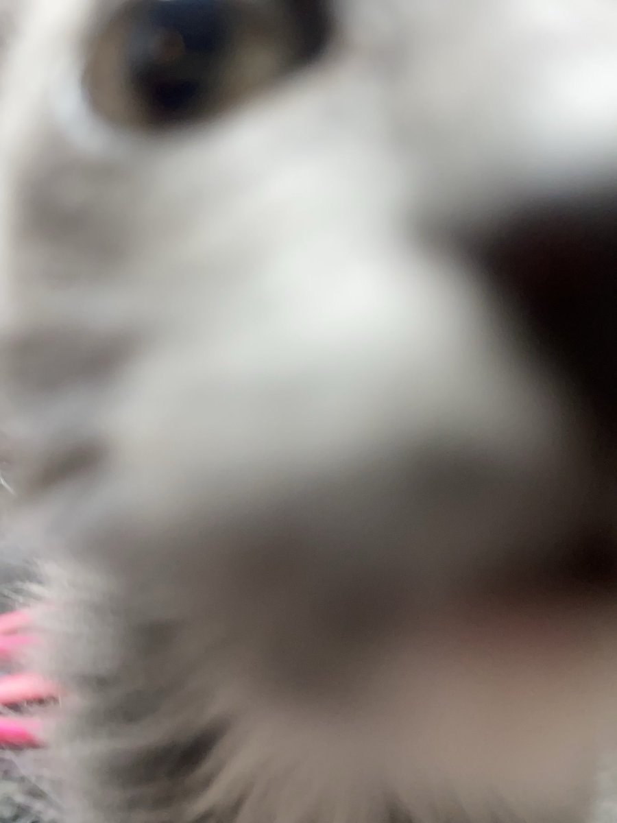 Tamaryn (@hellatamaryn) on Twitter photo 