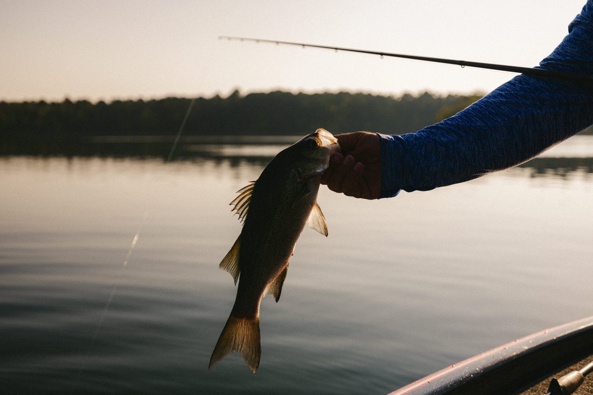 Family-owned Iron Mountain Lodge &amp; Marina has spent 40 years perfecting the DeGray Lake resort experience. Their full-service marina, guided fishing and comfortable lodging make it an ideal destination for anglers! #TheNaturalState arkansas.com/arkadelphia/ac…