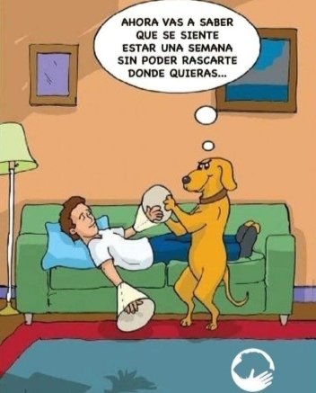 😂😂😂😂😂😂😂😂