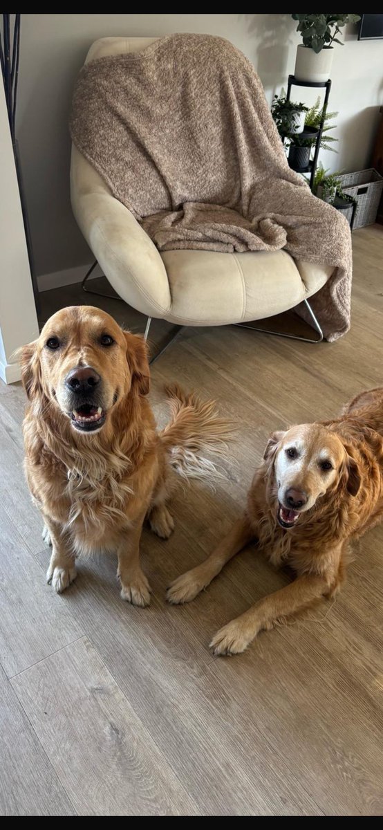 Rachel’s come home to visit 😀😍