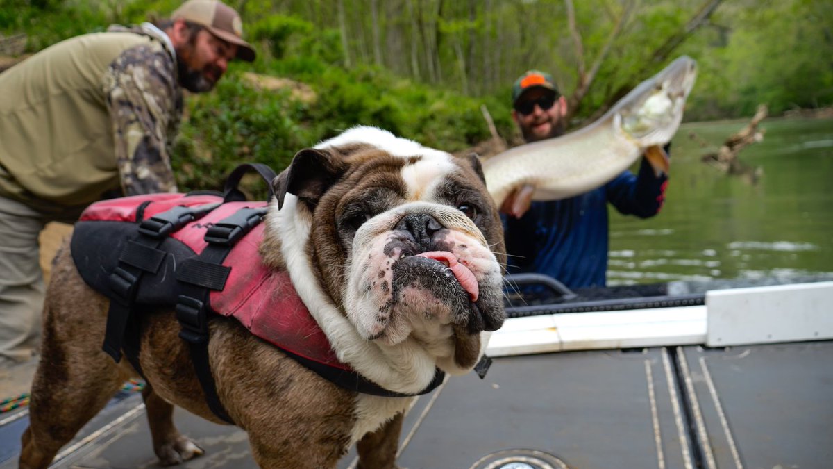_OnlyFins's tweet photo. Some people have a porn problem. I have a fishing problem. OnlyFins, because I too am a whore for a rod in my hand 😚 https://t.co/ISur1fspMB