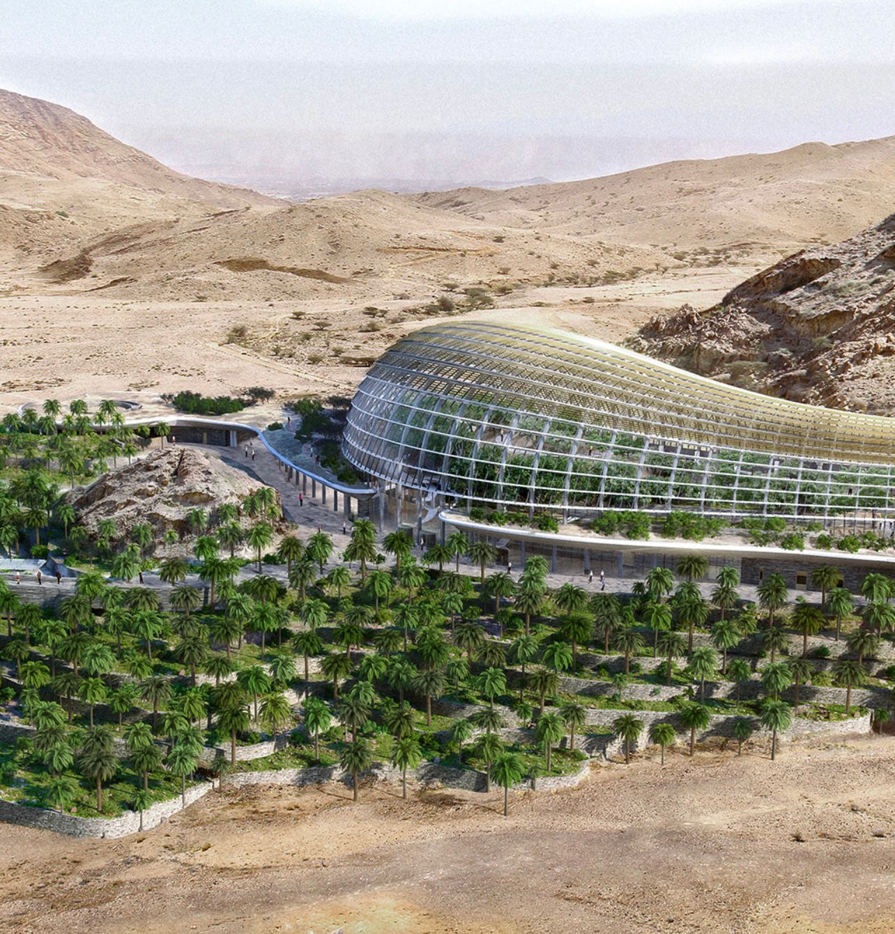 الصورة