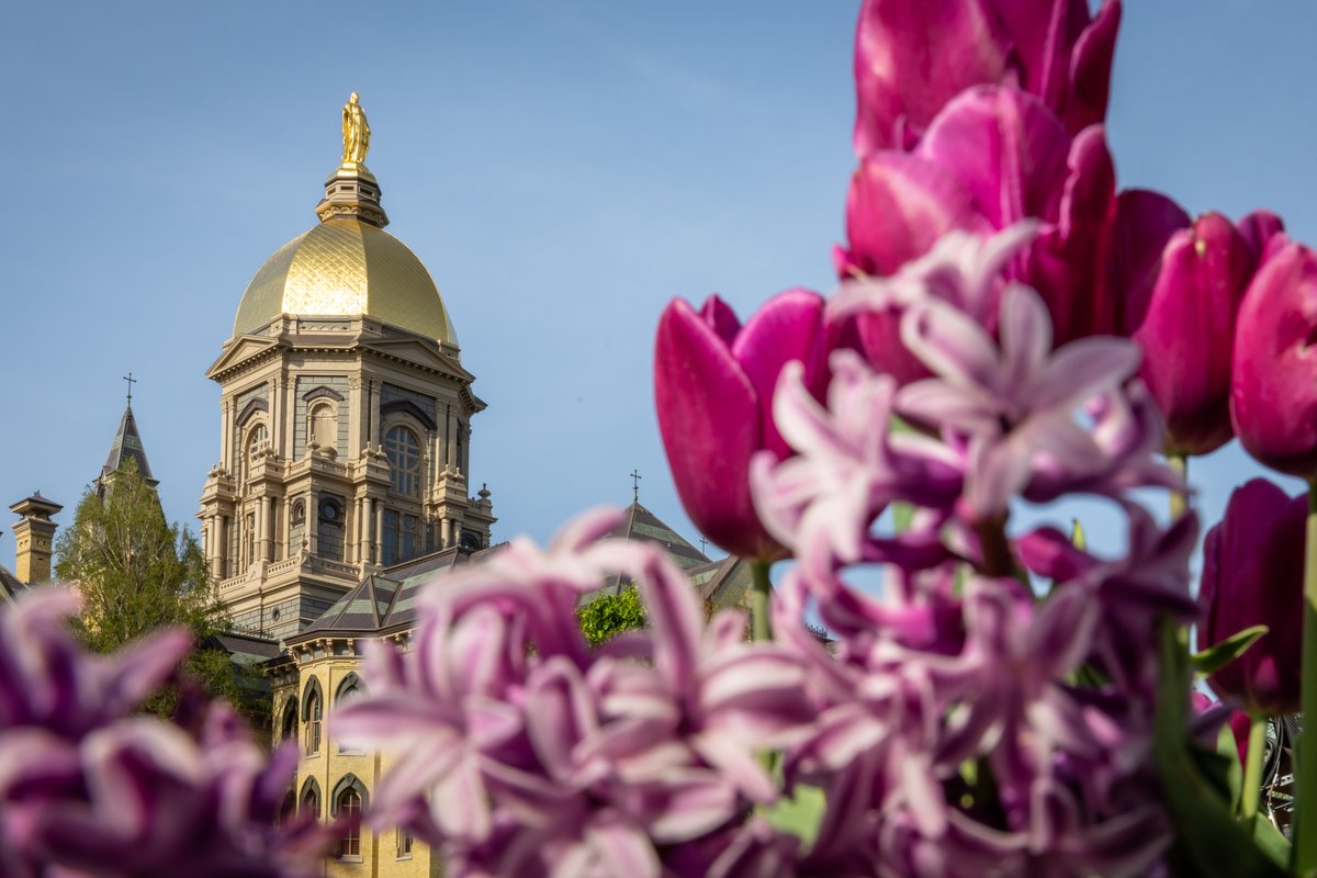 Spring has sprung in South Bend 

#GoIrish