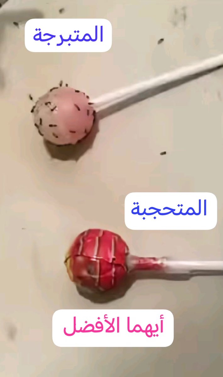 قطعتان من الحلوى إحداهما مكشوفة الغطاء وحولها الذباب والنمل والحشرات والأخرى لازالت مغطاه بالساتر ولم يلحقها أذا الحشرات لوجود المانع القوي الذي جعل الحشرات تصد عنها هذا مثال لحال النساء المتبرجة تضل وجبة دسمة للحشرات بخلاف المتسترة بحجابها فهي جوهرة ثمينة مصانة عن مواقع العفن