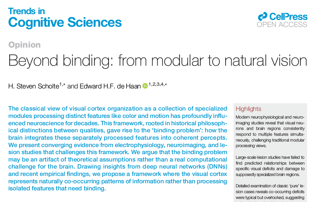 Beyond binding: from modular to natural vision

Opinion by H. Steven Scholte &amp; Edward de Haan
Open Access: tinyurl.com/4b5myz68