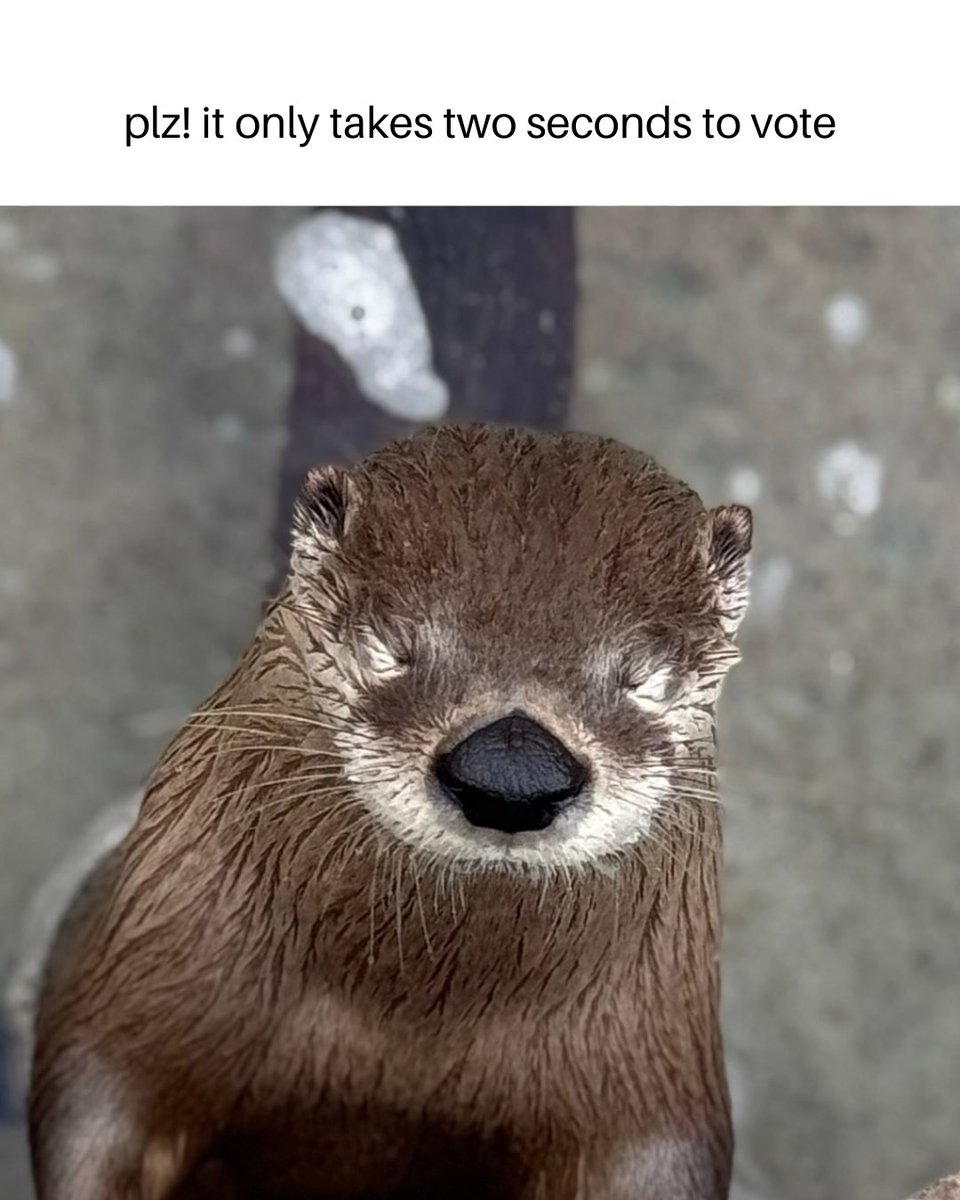 Your 👏 Votes 👏 Are 👏 Working! Just yesterday, we climbed to #7 thanks to your votes and support. Have you voted today?
 
You can vote once per day, per device through May 12.

🗳️ Cast your vote here:
10best.usatoday.com/awards/texas-s…
 
Your support means the world to us! 🦦 ✨