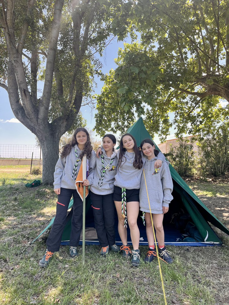 Grupo Scout 493 Azimut tweet media
