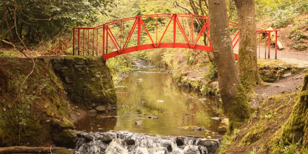 Where's your favourite place to enjoy nature? Here's one of ours!
📍 Gosford Forest Park
📸 Credit to @caolan.quinn.58 for this beautiful shot!

Tag us in your captures using #VisitArmagh
______________________________________
 #discoverni #embraceagiantspirit #onegiantadventure